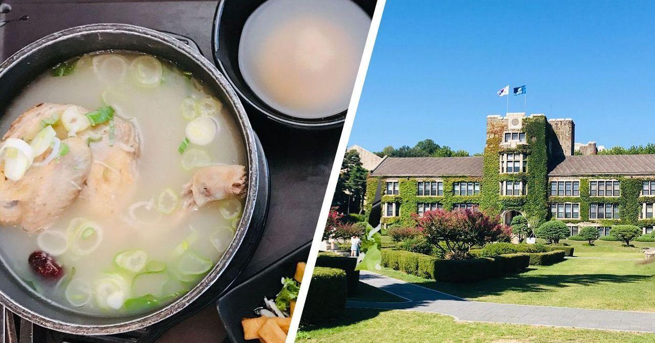 韓國首爾遊覽推介，介紹新村商圈及延世大學，內有熱騰騰的韓國湯品，適合旅遊參考